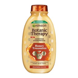 شامپو ترمیم کننده موی سر گارنیه Garnier سری Botanic Therapy مدل Honey Treasures حجم 400 میل